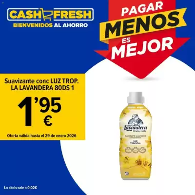 Folleto Cash Fresh (válido hasta el 29-01)