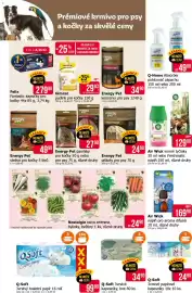 Teta leták Strana 17