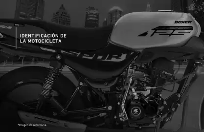 Catálogo Bajaj Página 12