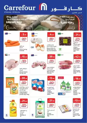 Carrefour catalogue (valid until 8-02)