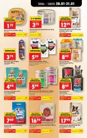 Biedronka gazetka Strona 61