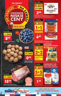 Biedronka gazetka (ważność do 31-01)
