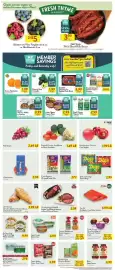 Fresh Thyme weekly ad Page 3
