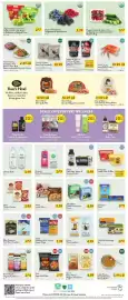 Fresh Thyme weekly ad Page 5