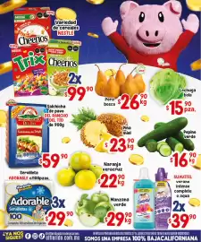 Folleto El Florido Página 2