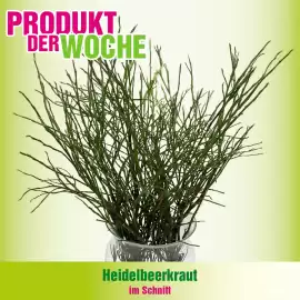 Blumen B&B Flugblatt woche 5 Seite 5