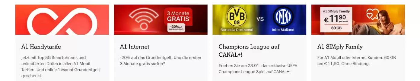 A1 Flugblatt Seite 1