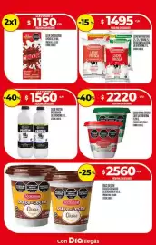 Folleto Supermercados DIA semana 5 Página 13