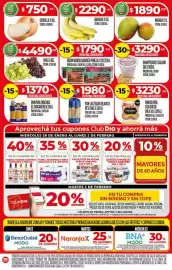 Folleto Supermercados DIA semana 5 Página 4