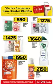 Folleto Supermercados DIA semana 5 Página 48