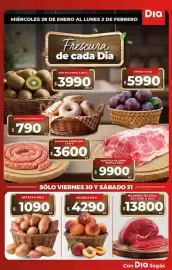 Folleto Supermercados DIA semana 5 Página 9