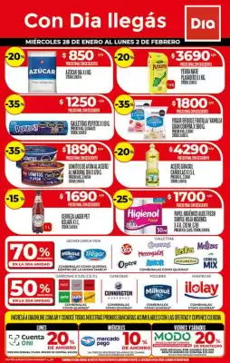 Folleto Supermercados DIA (válido hasta 2-02)