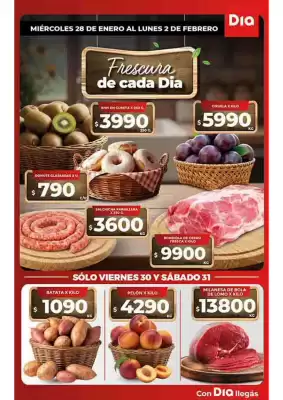 Folleto Supermercados DIA (válido hasta 2-02)