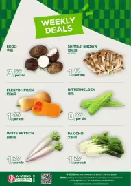 Amazing Oriëntal folder week 5 Pagina 1