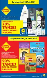 Lidl gazetka Strona 17
