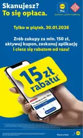 Lidl gazetka Strona 3