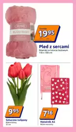 Action gazetka tydzień 5 Strona 15