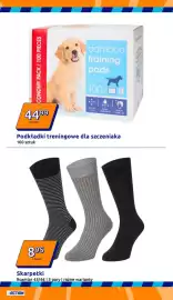 Action gazetka tydzień 5 Strona 8