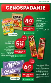 Żabka gazetka Strona 17