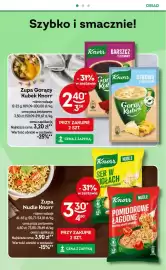 Żabka gazetka Strona 47