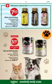 Żabka gazetka Strona 64