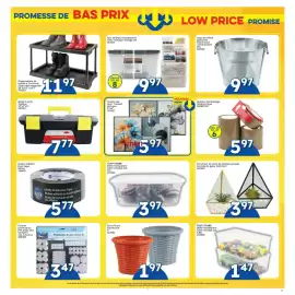 Rossy flyer week 5 Page 7