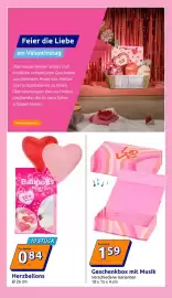 Action Flugblatt woche 5 Seite 13