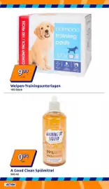 Action Flugblatt woche 5 Seite 8