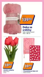 Action leták týden 5 Strana 15