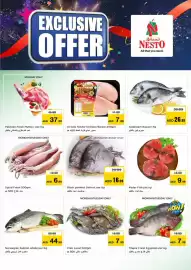 Nesto catalogue Page 10