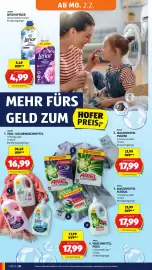 Hofer Flugblatt woche 5 Seite 24