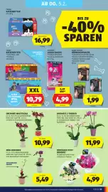 Hofer Flugblatt woche 5 Seite 37