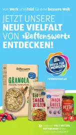 Hofer Flugblatt woche 5 Seite 41