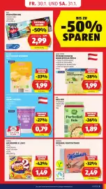 Hofer Flugblatt woche 5 Seite 7