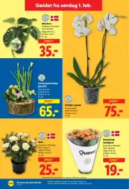 Lidl tilbudsavis uge 6 Side 24