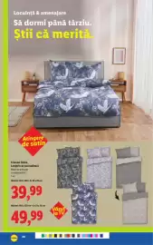 Catalog Lidl săptămâna 6 Pagină 20