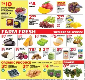 Sedano's weekly ad week 5 Page 2