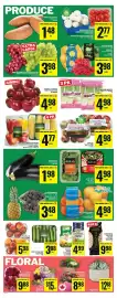Food Basics flyer week 5 Page 8