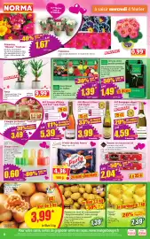 Catalogue Norma semaine 6 page 4