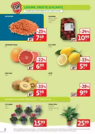 Catalog Auchan Pagină 2