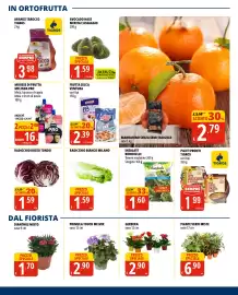 Volantino Tigros Pagina 13