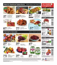 Pavilions weekly ad week 5 Page 4