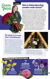 Ditjes en datjes folder Pagina 38