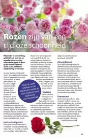 Ditjes en datjes folder Pagina 39