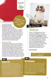 Ditjes en datjes folder Pagina 83