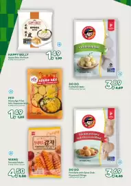 Amazing Oriëntal folder Pagina 14