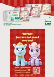 Amazing Oriëntal folder Pagina 5