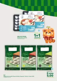 Amazing Oriëntal folder Pagina 9