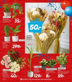 Bilka tilbudsavis uge 5 Side 37