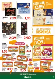 Volantino Gran Risparmio Pagina 15